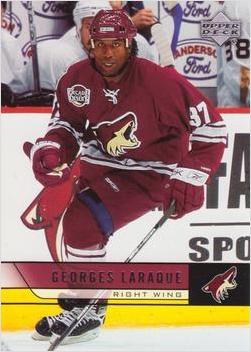 Georges Laraque #402