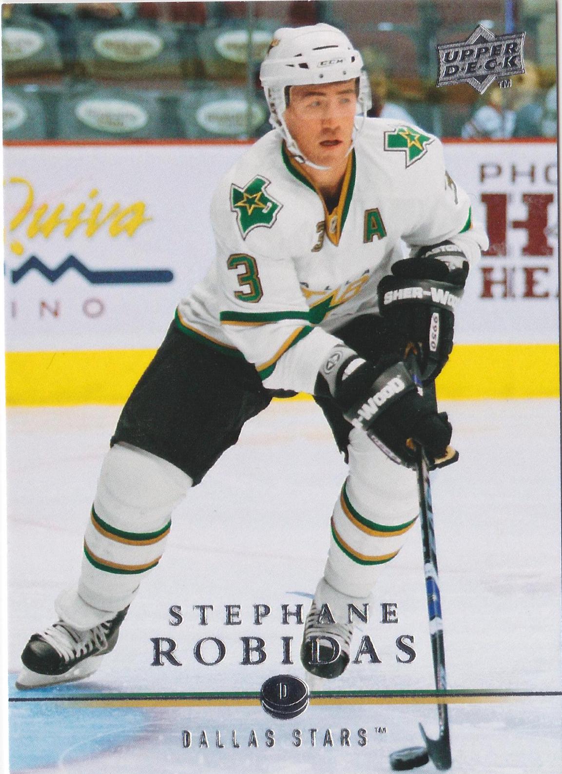 Stephane Robidas #314