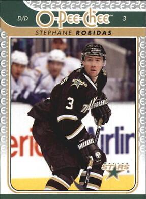 Stephane Robidas #311