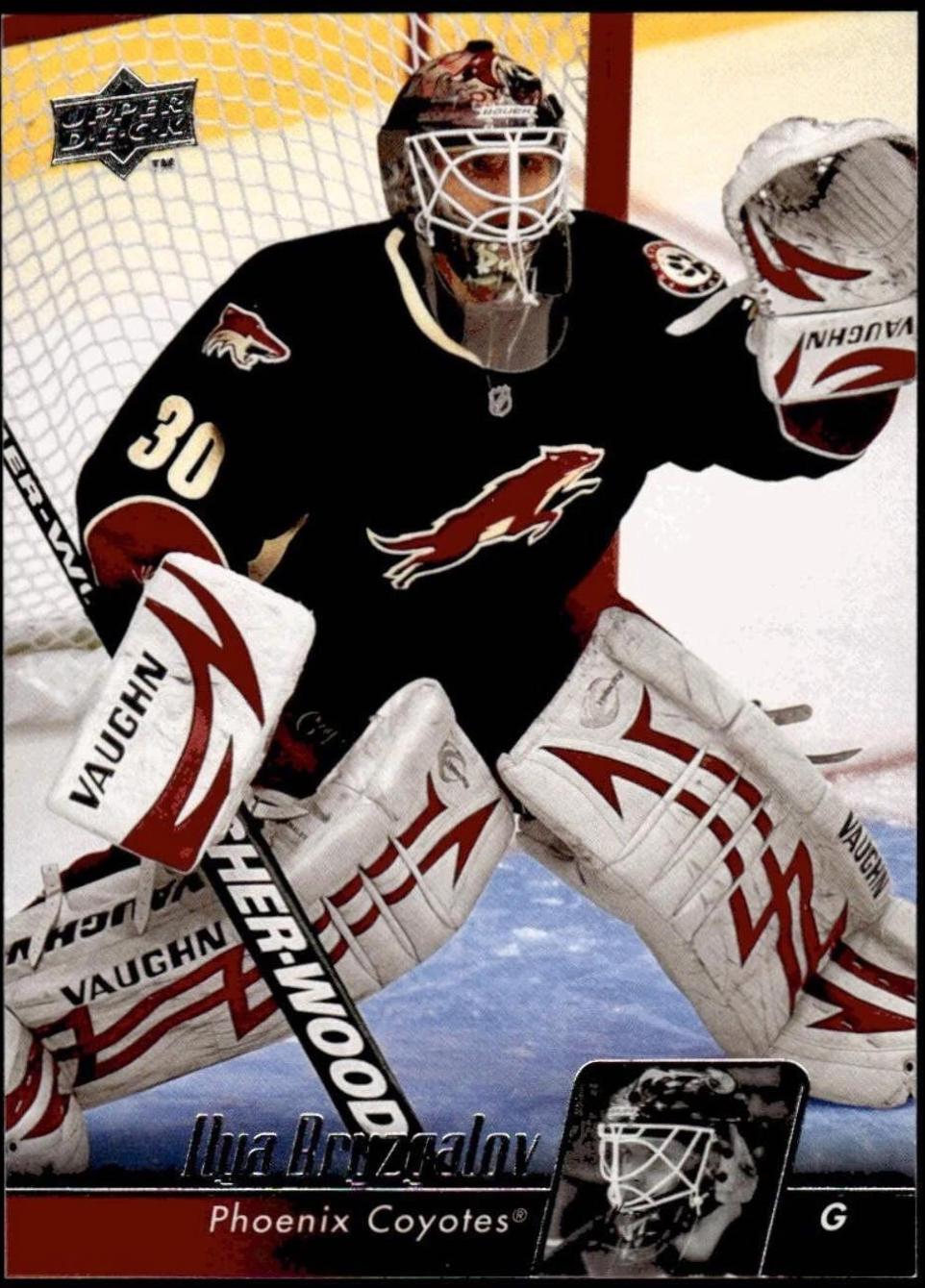 Ilya Bryzgalov #48