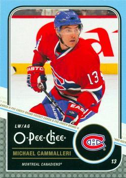 Mike Cammalleri #445