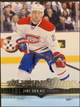 Jiri Sekac #229