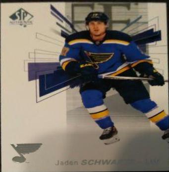 Jaden Schwartz #17