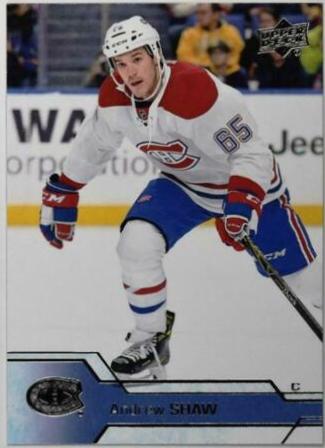 Andrew Shaw #348