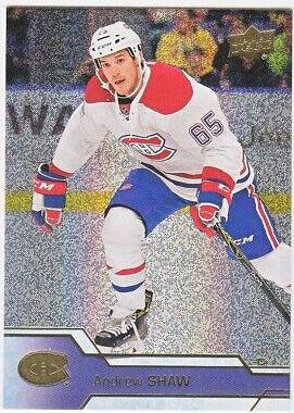 Andrew Shaw [Gold Rainbow] #348