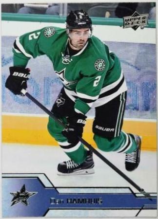 Dan Hamhuis #313