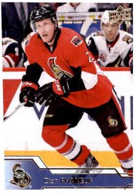 Dion Phaneuf #384