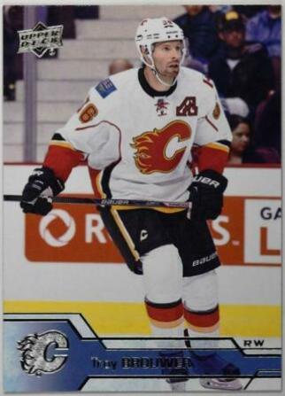 Troy Brouwer #281