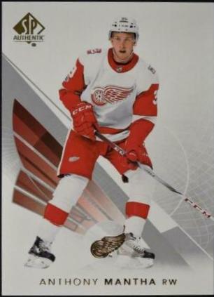 Anthony Mantha #24