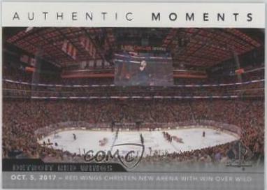 Detroit Red Wings #113