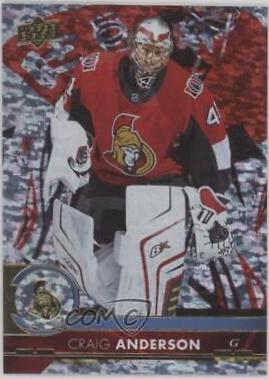 Craig Anderson [Gold Rainbow Foil] #380