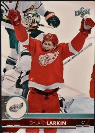 Dylan Larkin #317