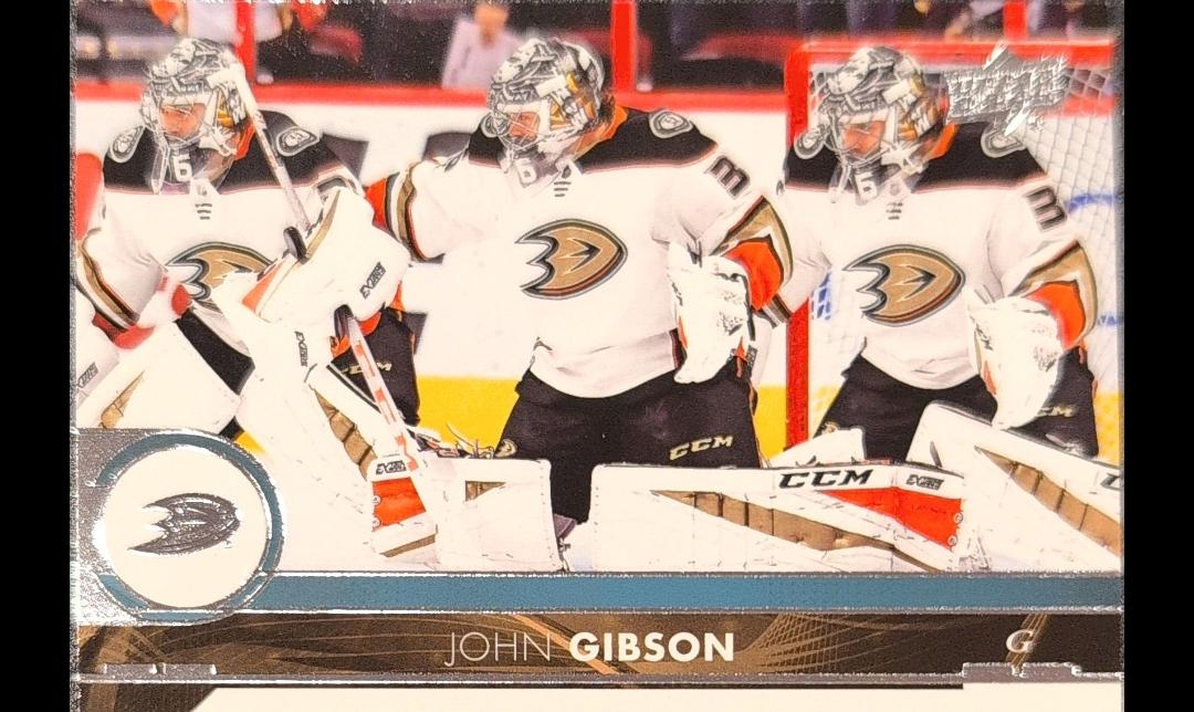 John Gibson #252