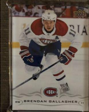 Brendan Gallagher #100