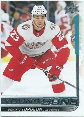 Dominic Turgeon #486