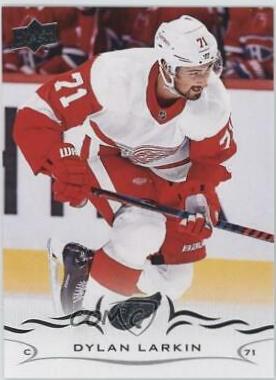 Dylan Larkin #315