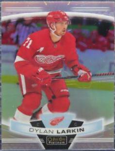 Dylan Larkin [Rainbow] #69