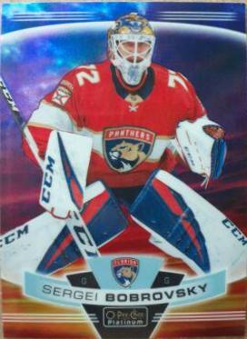Sergei Bobrovsky [Sunset] #108