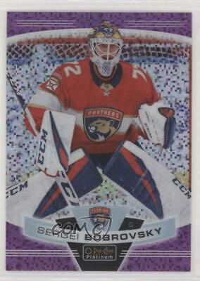 Sergei Bobrovsky [Violet Pixels] #108