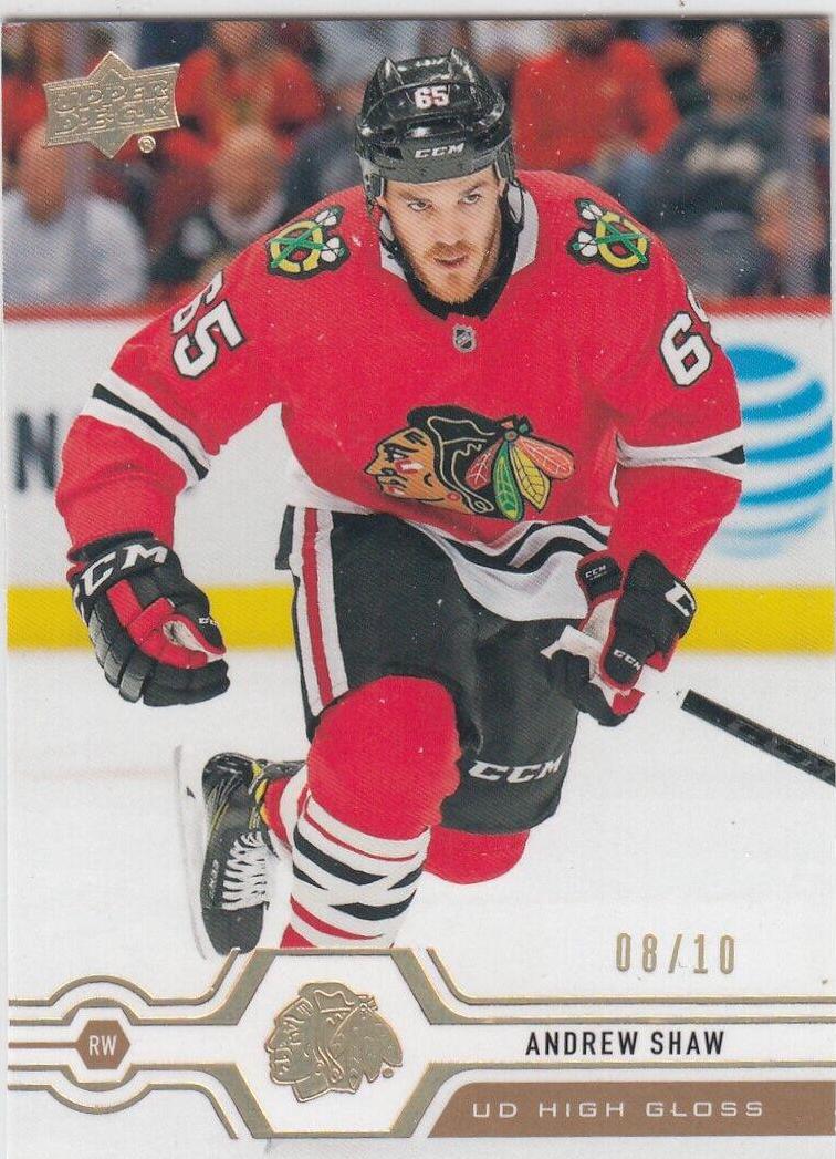 Andrew Shaw [High Gloss] #365