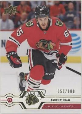 Andrew Shaw [UD Exclusives] #365