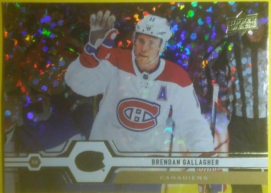 Brendan Gallagher #300