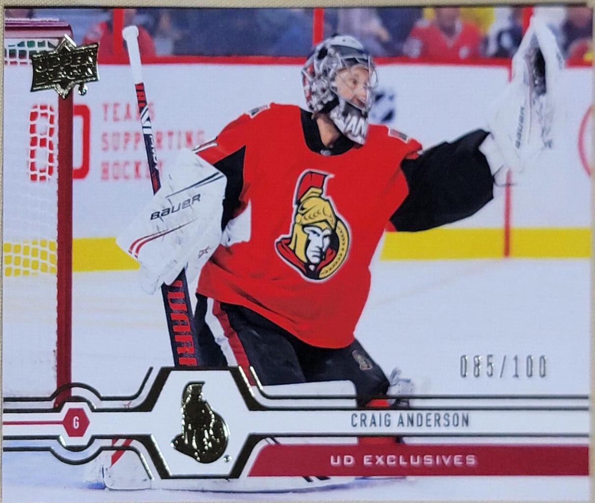 Craig Anderson #290