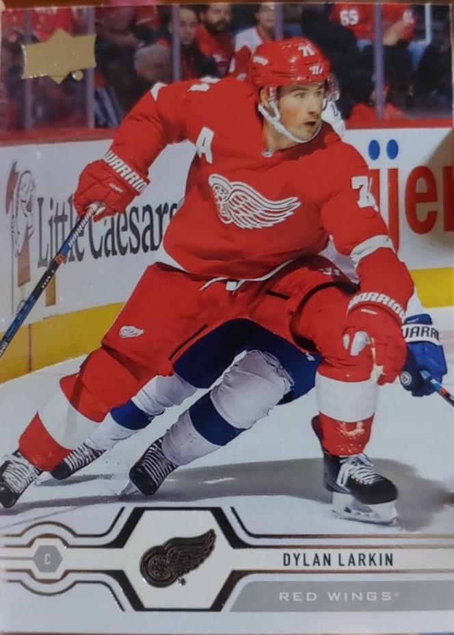 Dylan Larkin #28