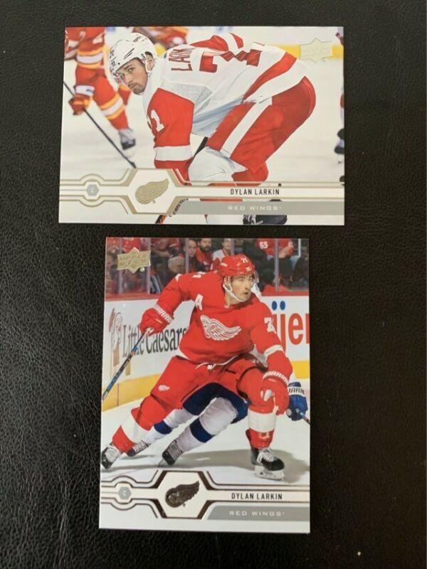 Dylan Larkin [White Jersey] #28