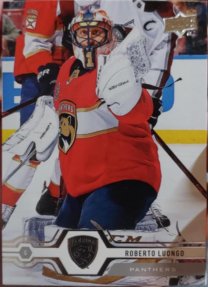 Roberto Luongo #45