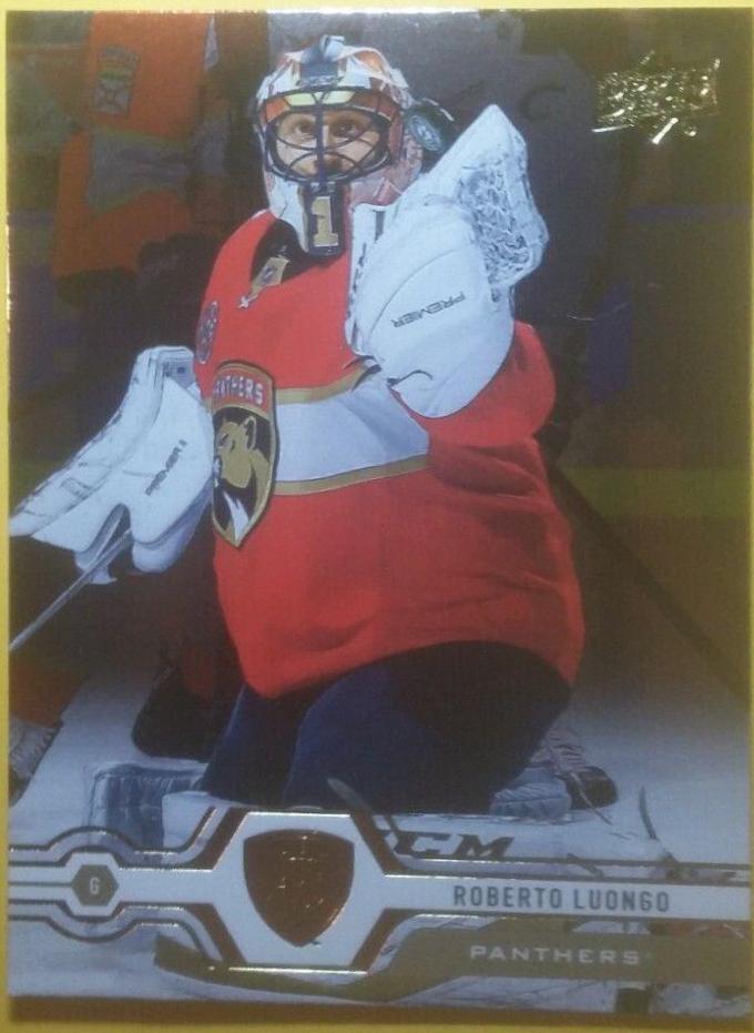 Roberto Luongo [Silver Foil] #45