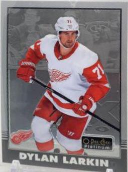 Dylan Larkin #R-11