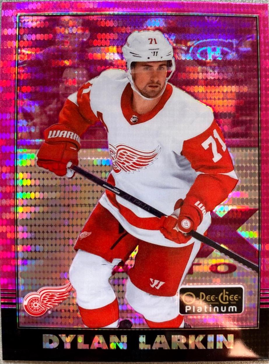 Dylan Larkin [Pink] #R-11