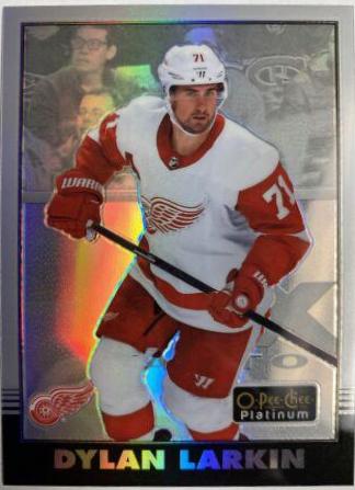 Dylan Larkin [Rainbow] #R-11