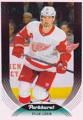 Dylan Larkin #263