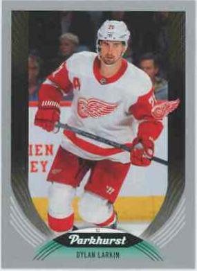 Dylan Larkin [Silver] #263