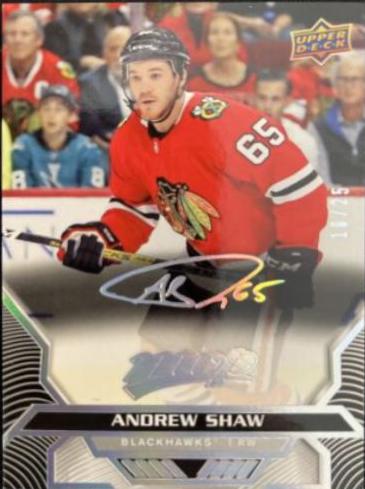 Andrew Shaw [Super Script] #24