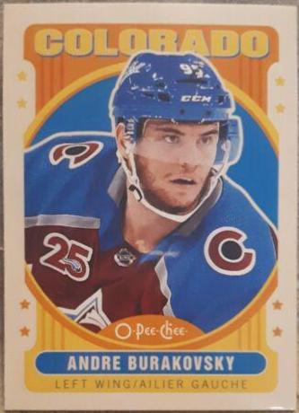 Colorado Avalanche [Retro Blank Back] #558