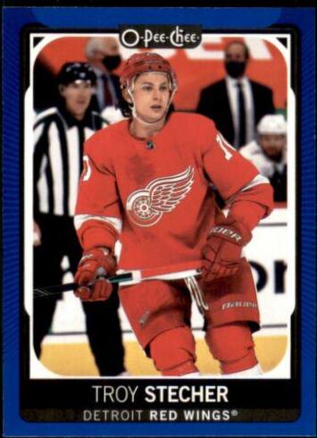 Troy Stecher [Blue Border] #231