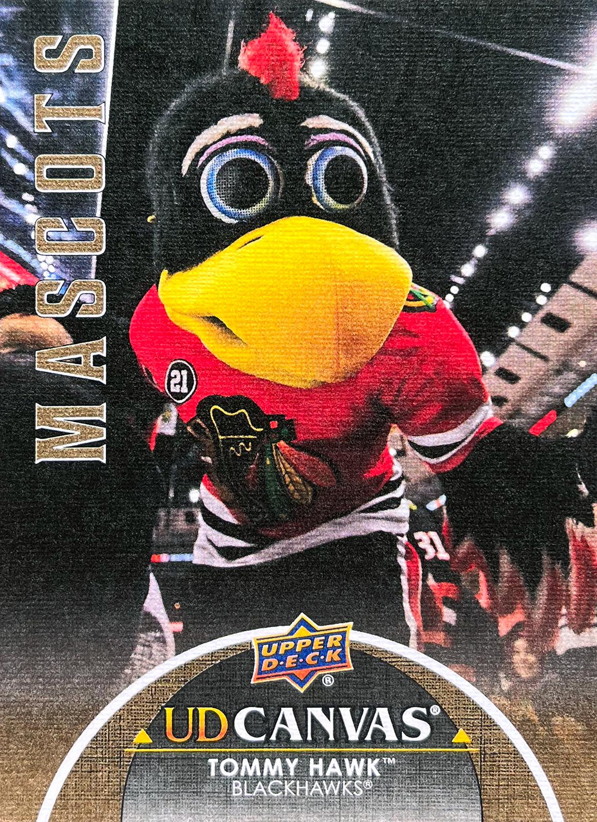 Tommy Hawk #C397