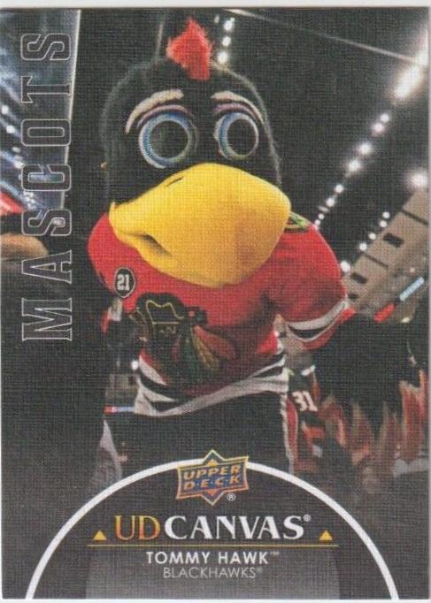 Tommy Hawk [Black] #C397