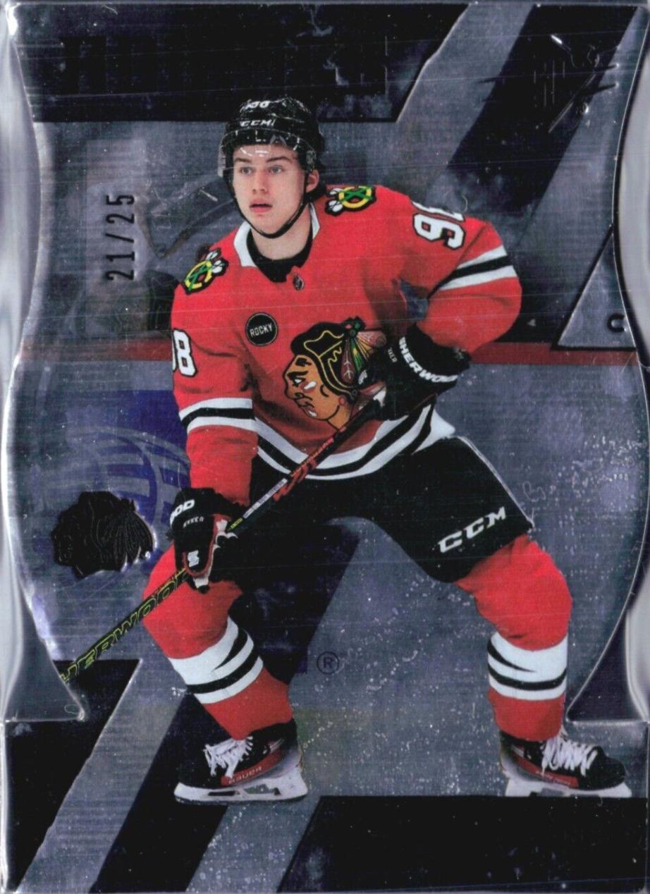 Connor Bedard [NHL Shield Die-Cutgram] #101
