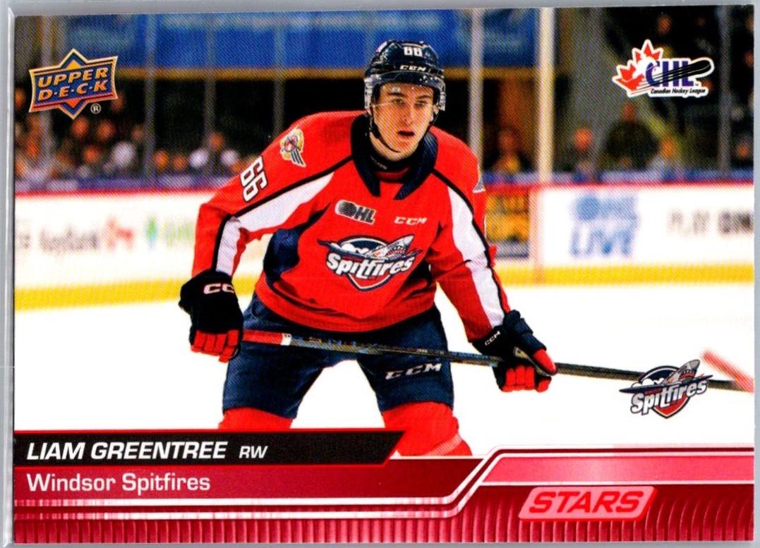 Liam Greentree [Red Stars] #327
