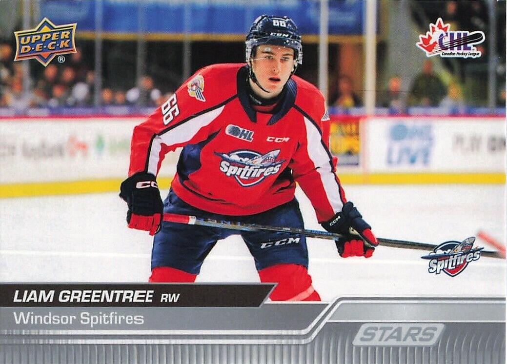 Liam Greentree [Stars] #327