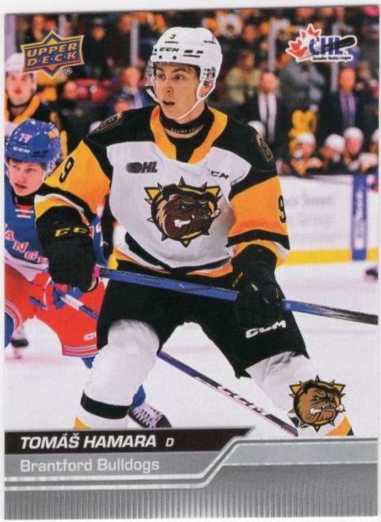 Tomas Hamara #248
