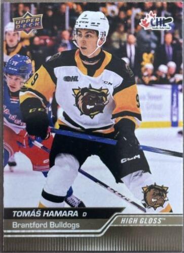 Tomas Hamara [High Gloss] #248