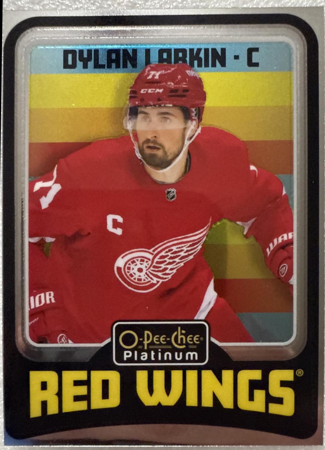 Dylan Larkin #R25