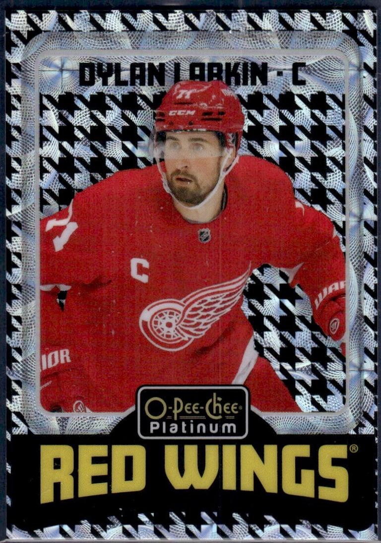 Dylan Larkin [Houndstooth] #R25