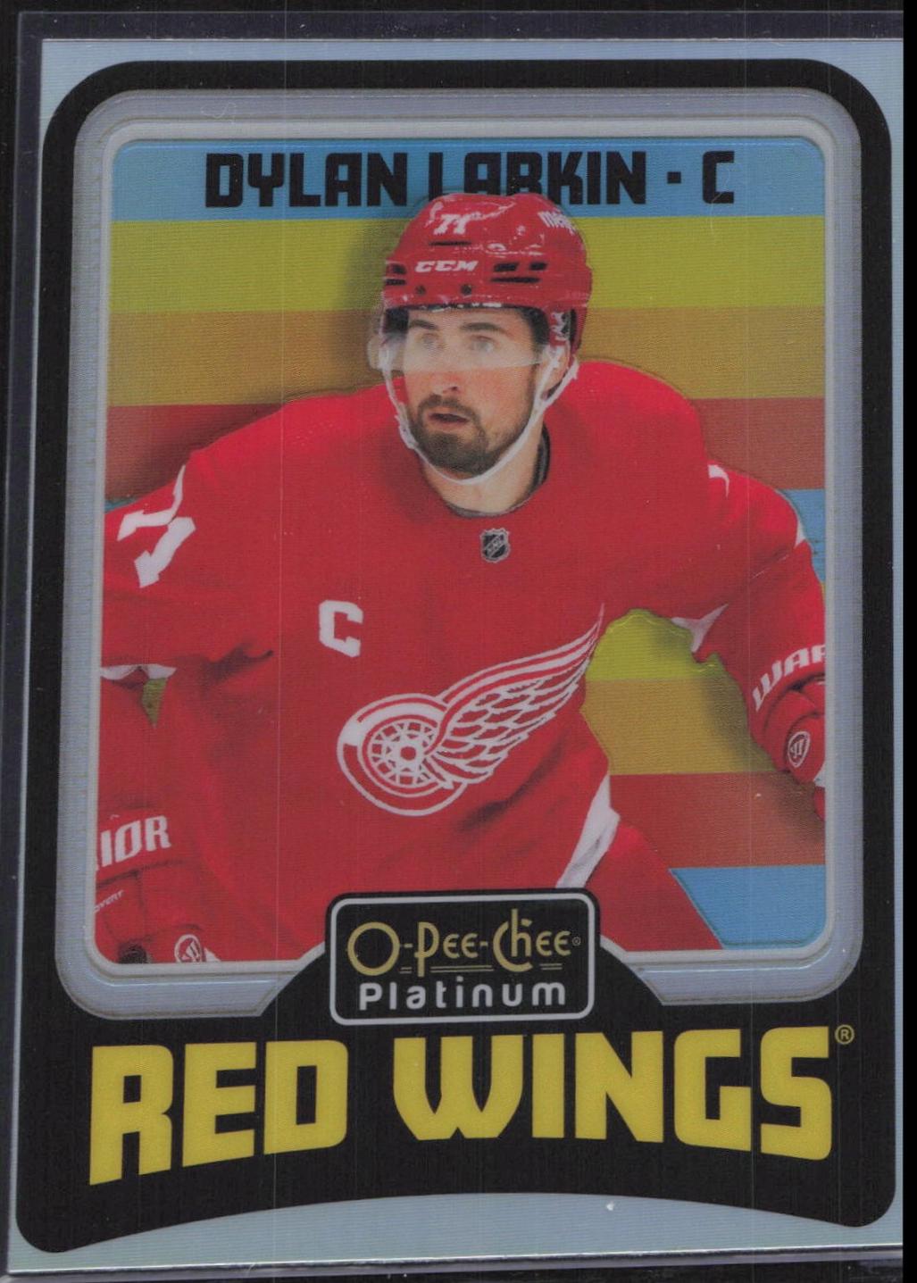Dylan Larkin [Rainbow] #R25