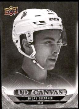 Dylan Guenther [Black White] #C-47